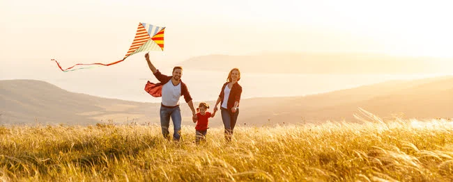 Family sponsorship