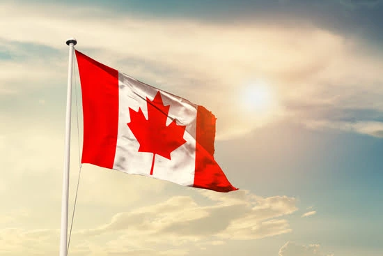 immigrate to the province of New Brunswick